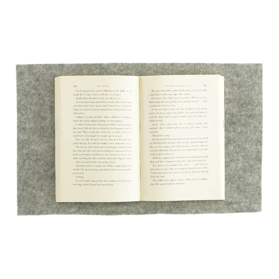 Thirteen reasons why af Jay Asher (bog)