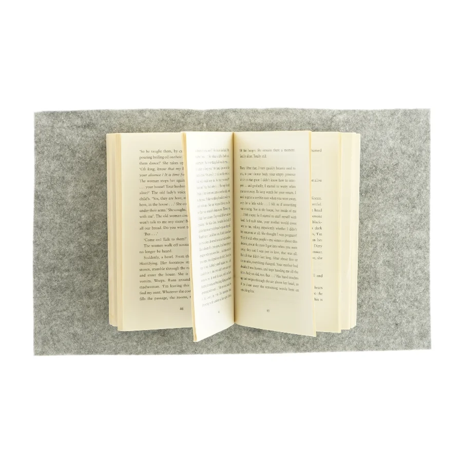 The patience stone af Atiq Rahimi (bog)