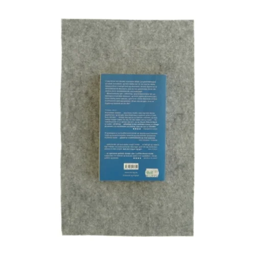 Flygtningen af Olav Hergel (bog)