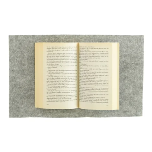 Flygtningen af Olav Hergel (bog)