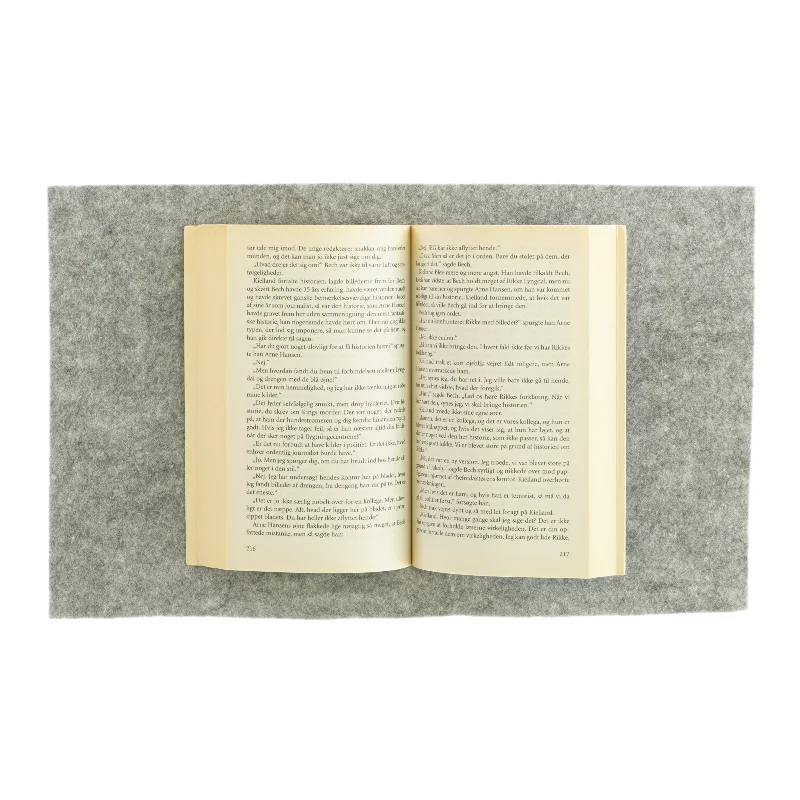 Flygtningen af Olav Hergel (bog)