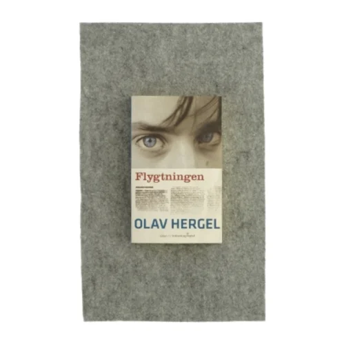 Flygtningen af Olav Hergel (bog)