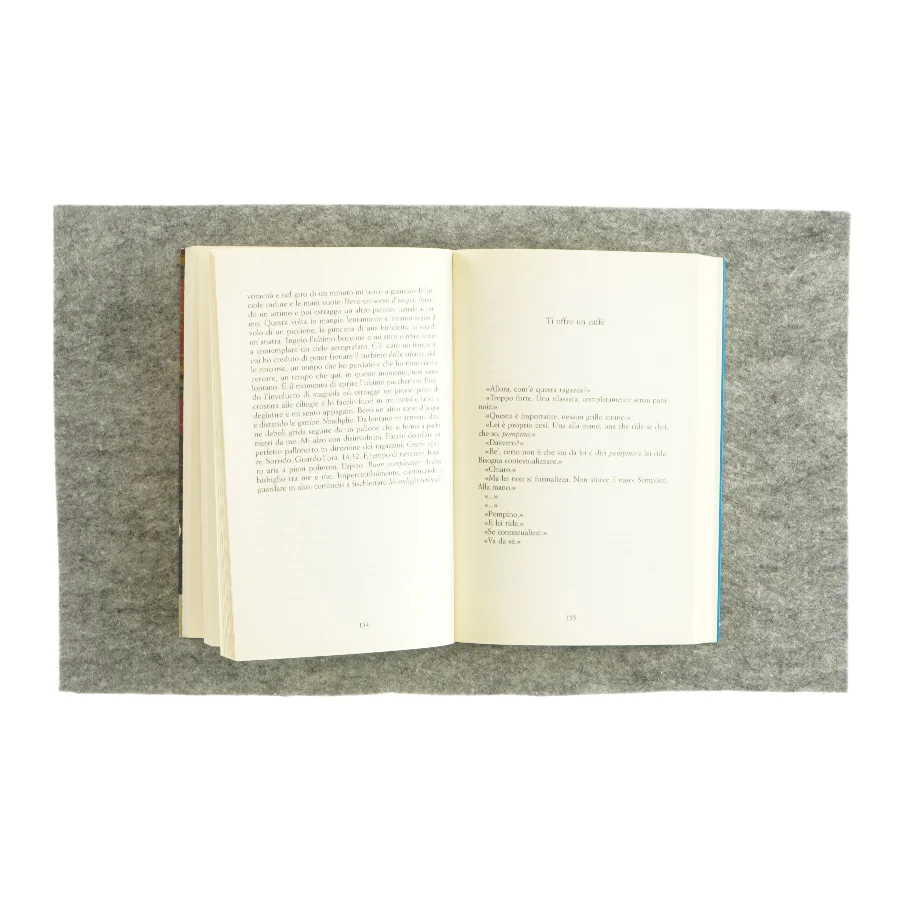 Studio illegale af Duchesne (bog) 