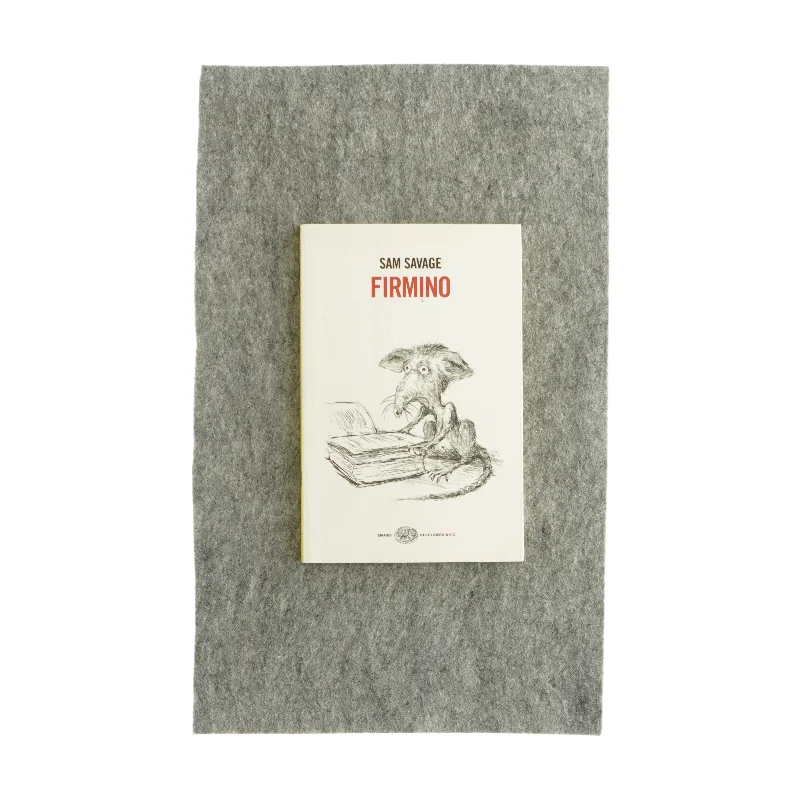 Firmino af Sam Savage (bog)