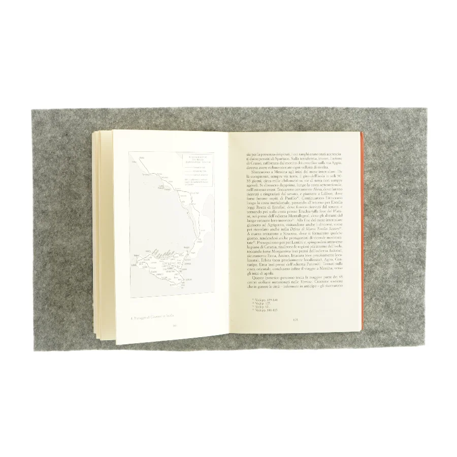 Il corrotto af luca fezzi (bog)