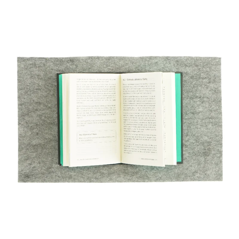 The little Black book for managers (bog) 