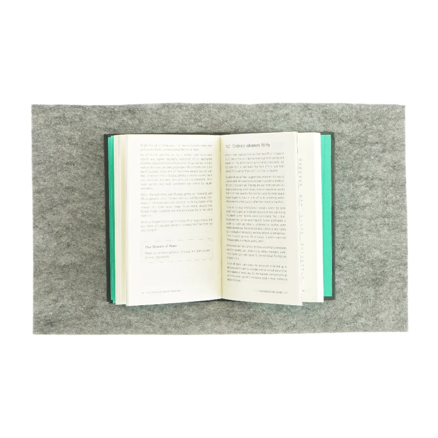 The little Black book for managers (bog) 