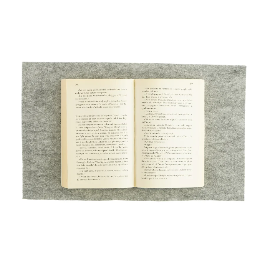 La donna del père-lachaise af Claude Izner (bog)