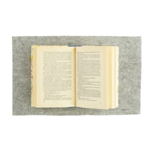 Camera con vista af Edward M. Forster (bog)