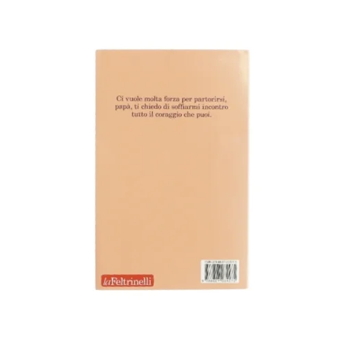 Cercando il mio nome af Carmen Barbieri (bog)