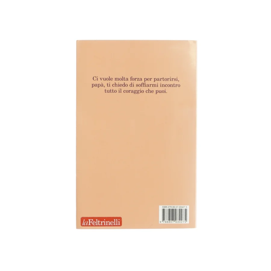 Cercando il mio nome af Carmen Barbieri (bog)