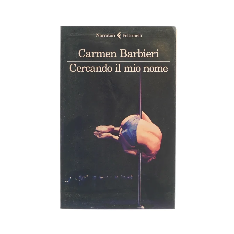 Cercando il mio nome af Carmen Barbieri (bog)