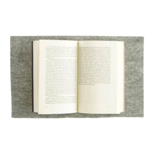 Cercando il mio nome af Carmen Barbieri (bog)