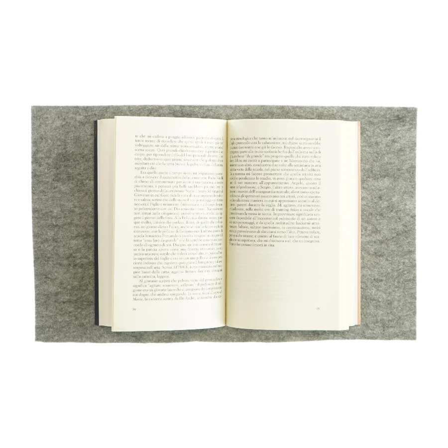 Cercando il mio nome af Carmen Barbieri (bog)