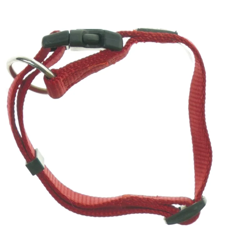 Rød hundehalsbånd fra Anione (str. S)