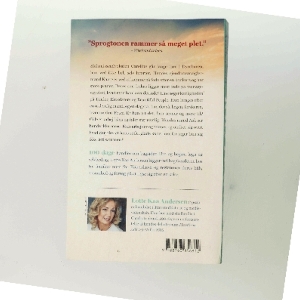 100 dage : roman af Lotte Kaa Andersen (Bog)