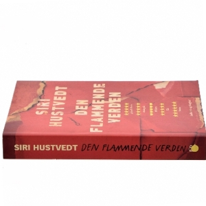 Den flammende verden : roman af Siri Hustvedt (Bog)