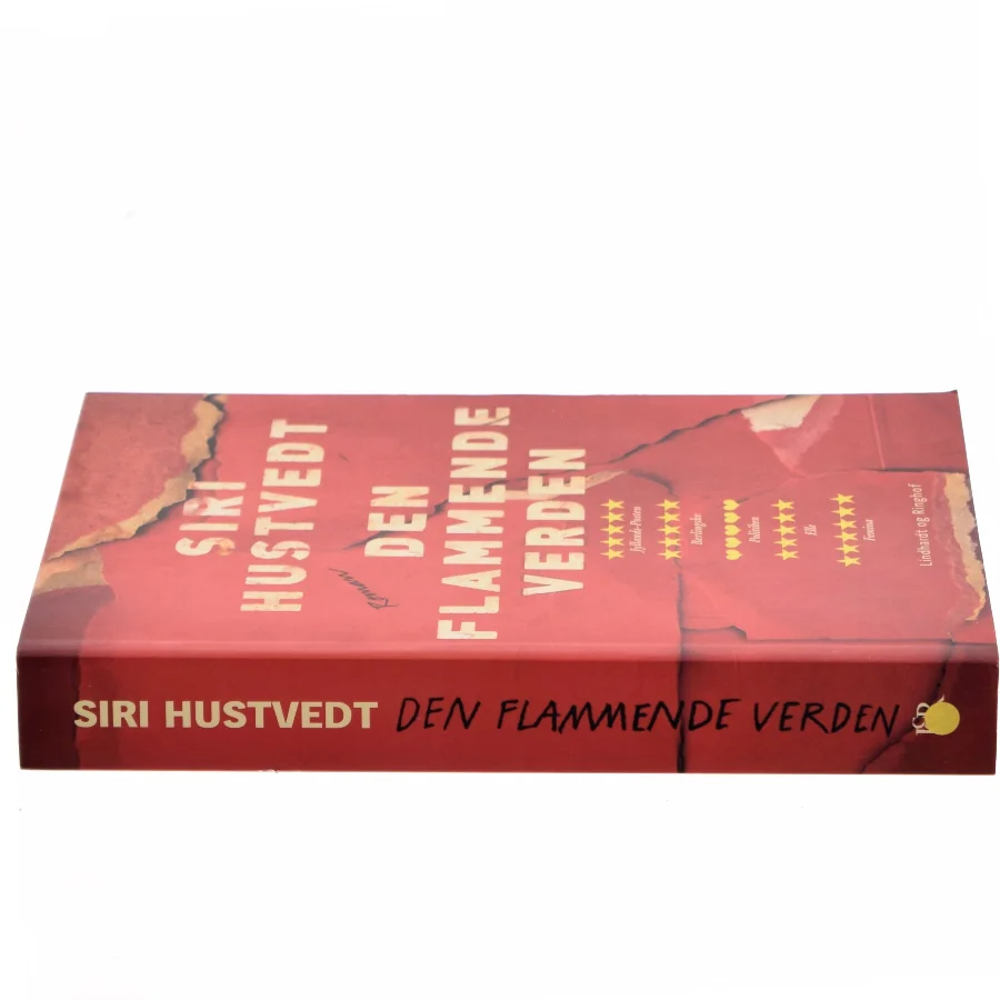 Den flammende verden : roman af Siri Hustvedt (Bog)