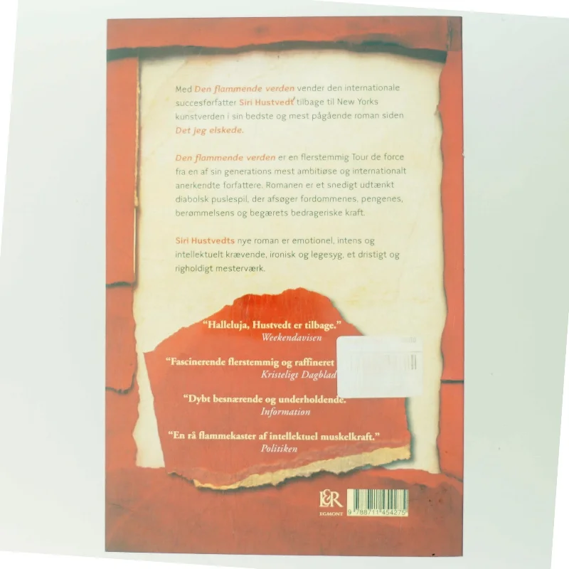 Den flammende verden : roman af Siri Hustvedt (Bog)