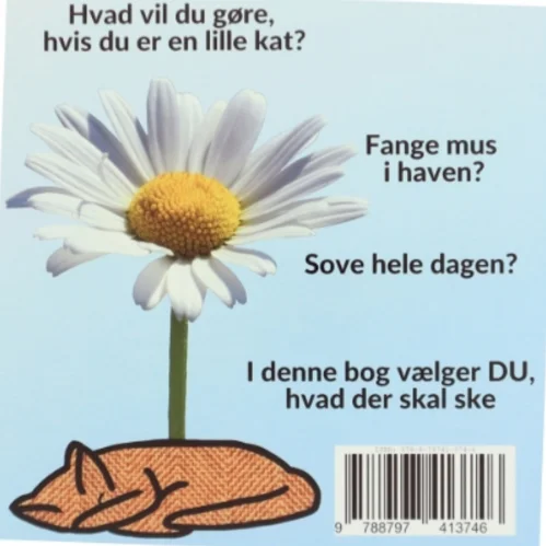 Hvad vil du, når DU leger kat - af Sarah Kirstein