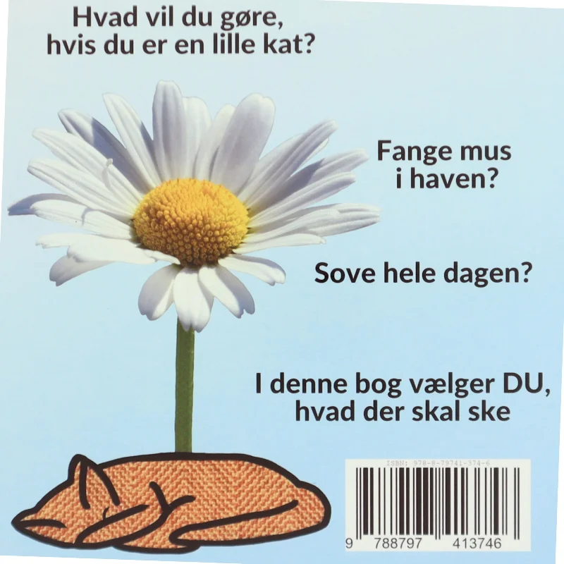 Hvad vil du, når DU leger kat - af Sarah Kirstein