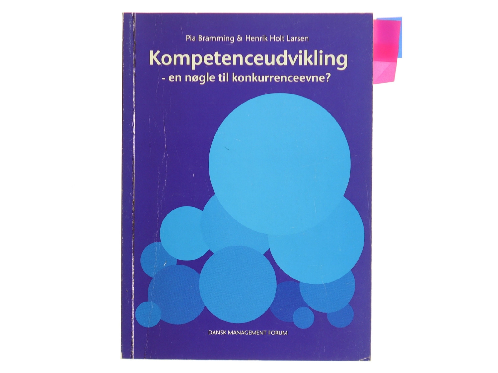 Kompetenceudvikling af Pia Bramming (Bog)