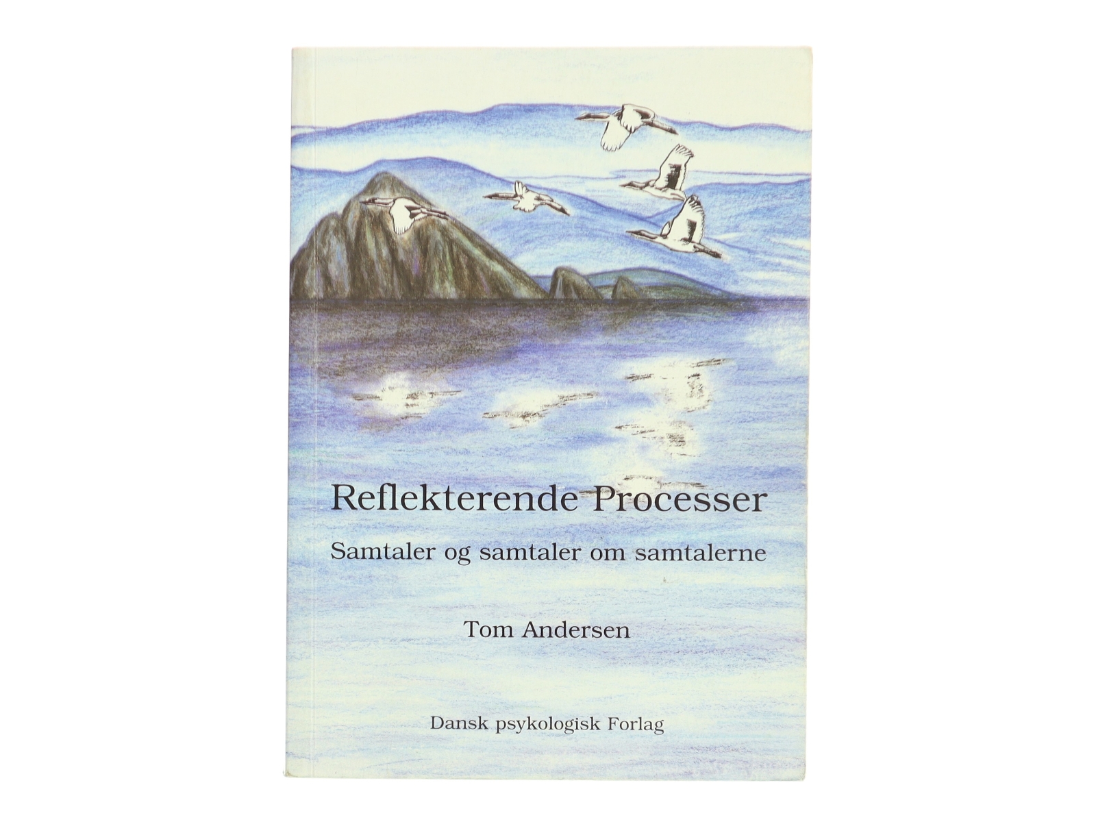 Reflekterende processer : samtaler og samtaler om samtalerne af Tom Andersen (f. 1936) (Bog)