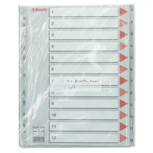 Esselte plastiklommeinddeler fra Esselte (str. 30x24,5 cm)