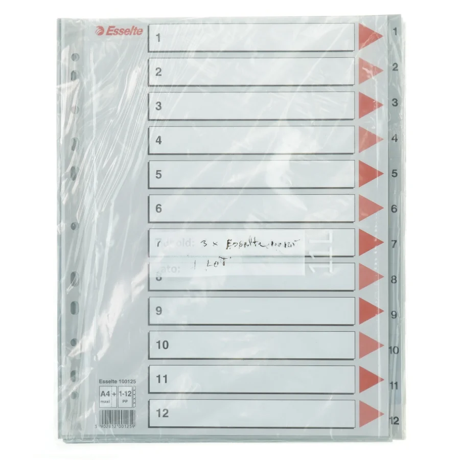 Esselte plastiklommeinddeler fra Esselte (str. 30x24,5 cm)