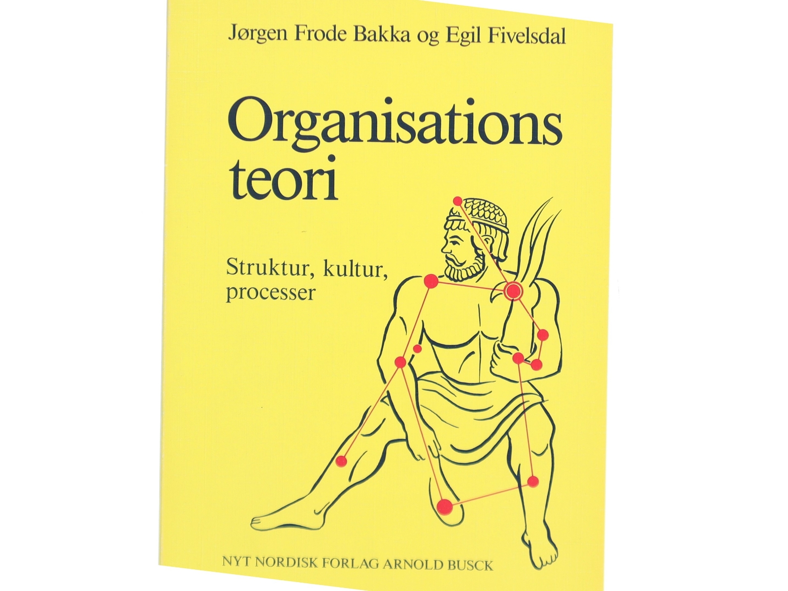 Organisationsteori : struktur, kultur, processer (Bog)