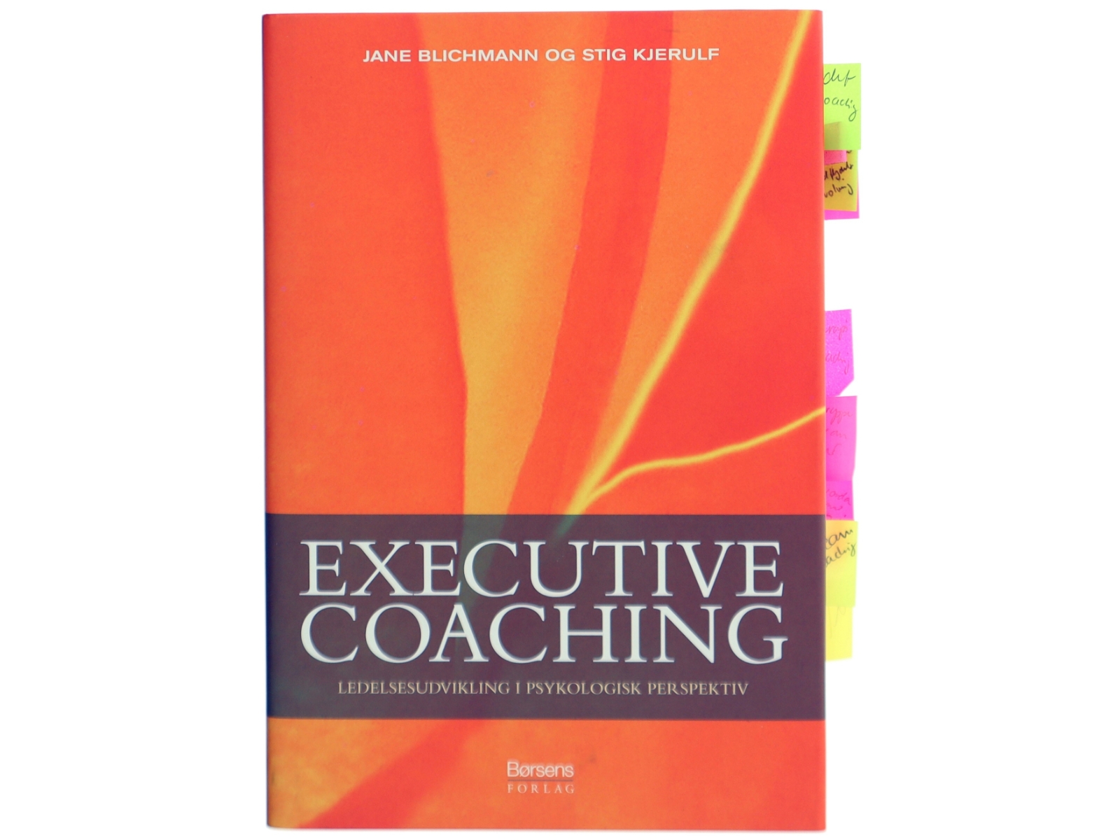 Executive coaching (Bog)