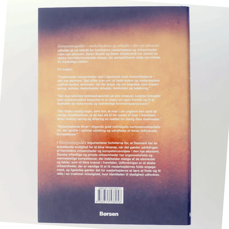Kompetenceguldet : medarbejderen og arbejdet i den nye økonomi (Bog)
