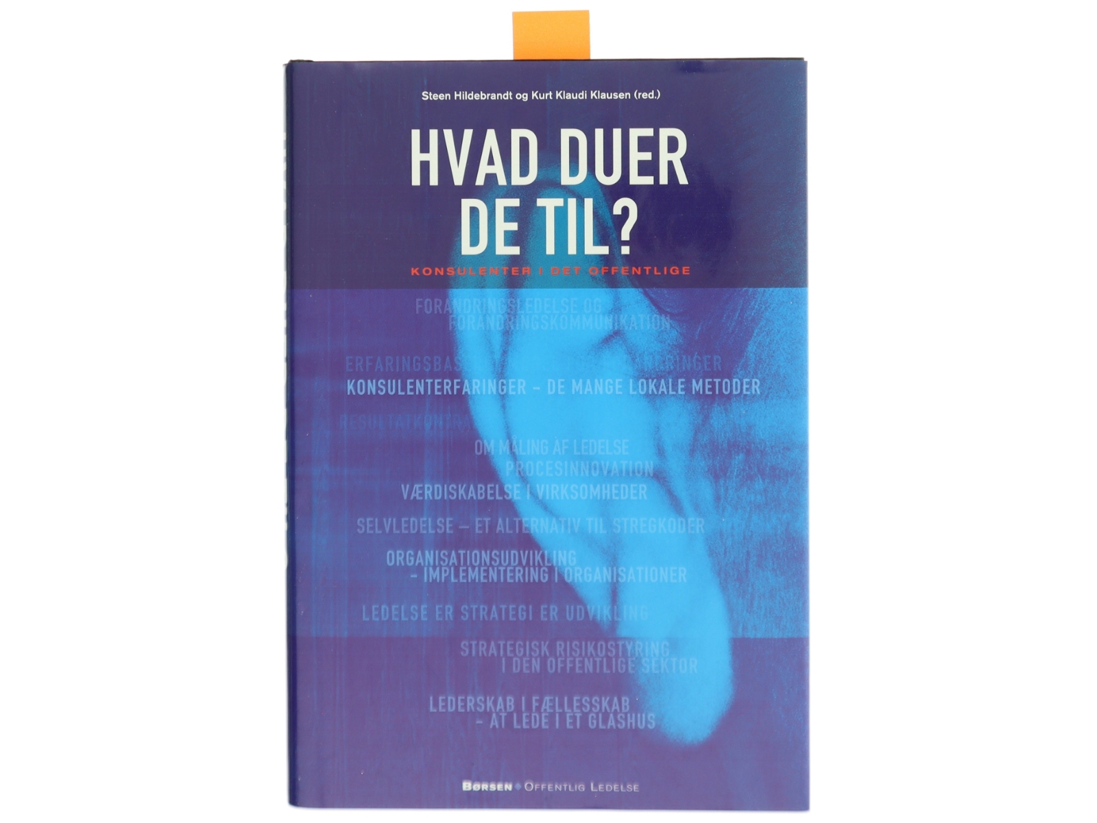 Hvad duer de til? af Steen Hildebrandt (Bog)