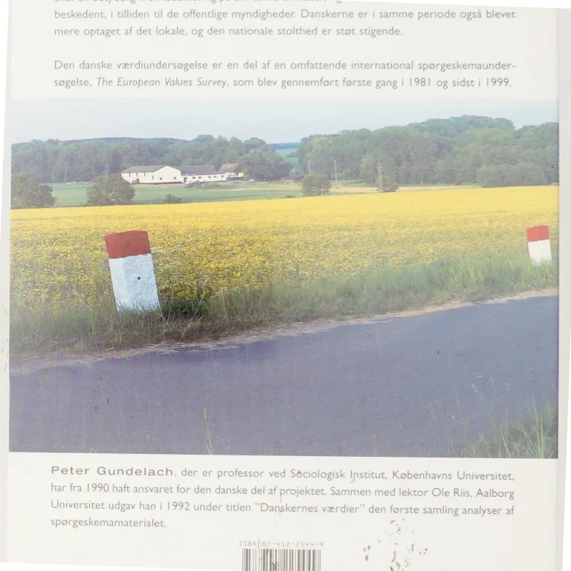 Danskernes værdier 1981-1999 af Peter Gundelach (Bog)
