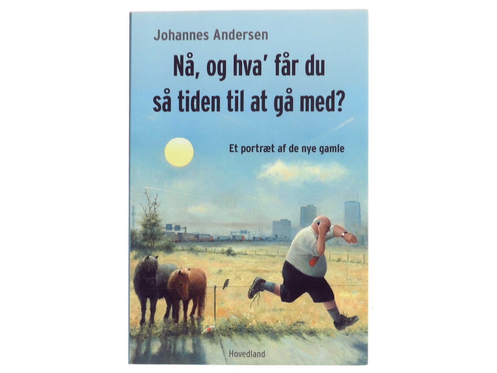 Nå, og hva' får du så tiden til at gå med? : et portræt af de nye gamle af Johannes Andersen (f. 1950) (Bog)