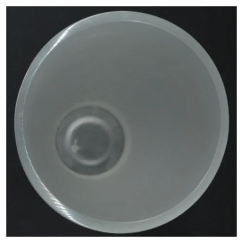 Mælkehvid glas vase (str. 20 cm)