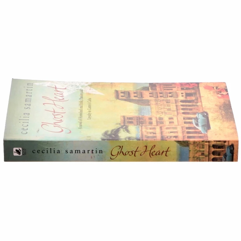 Ghost Heart af Cecilia Samartin (Bog)