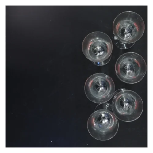 Sæt med seks champagneglas med blomstermotiv (str. 21x7 cm)