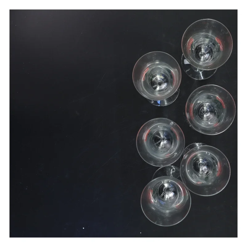 Sæt med seks champagneglas med blomstermotiv (str. 21x7 cm)