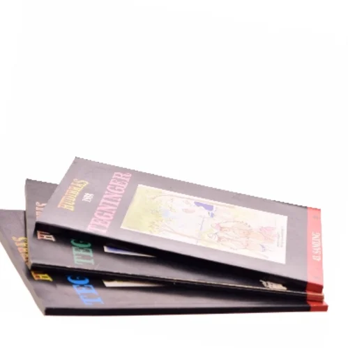 Hudibras 1988 Tegninger (Bog)