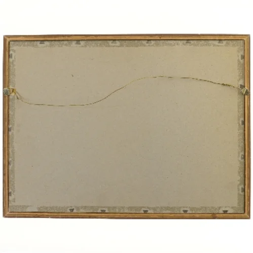 Hannes Harrs kunsttryk i ramme (str. 58x43 cm)