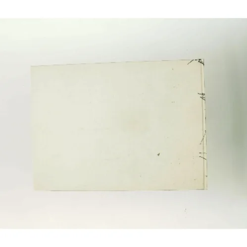 Fuglø af P.O. Hansen (Bog)