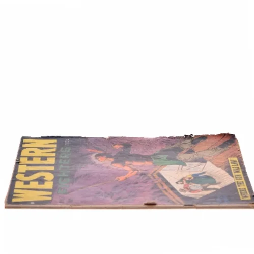 Western Fighters (Bog)