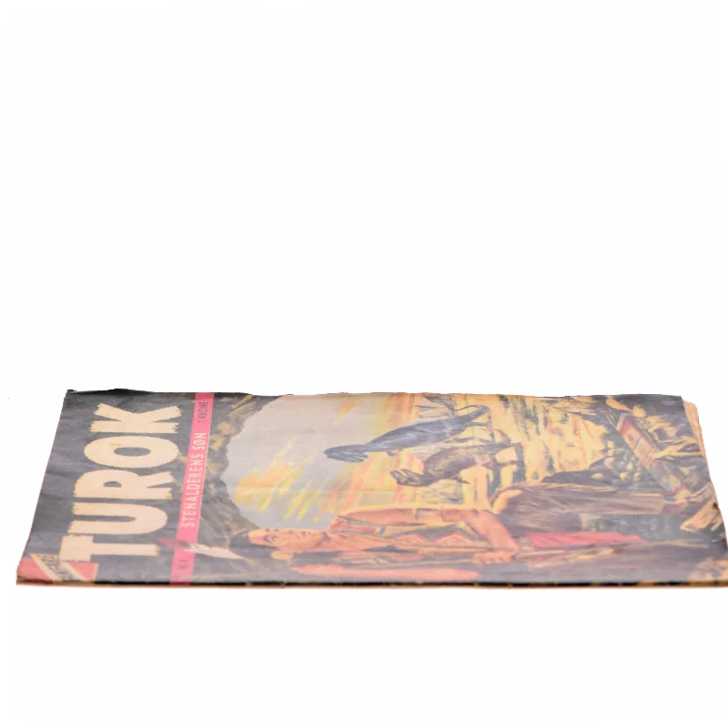 Turok: Stenalderens Søn (Bog)