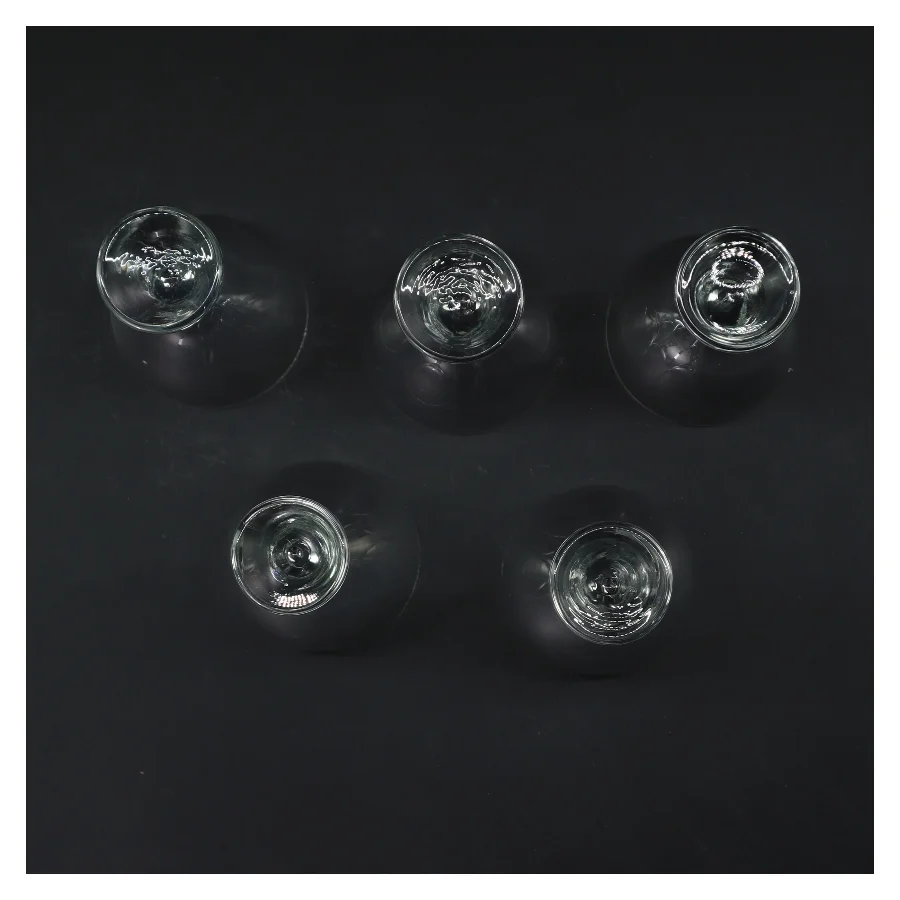 Holmegaard Princess vinglas sæt (str. 5 stk Ø 6,5 cm længde 14 cm)