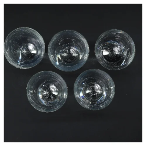 Holmegaard Princess vinglas sæt (str. 5 stk Ø 6,5 cm længde 14 cm)