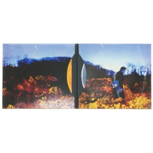 Bruce Springsteen CD: Working on a Dream fra Sony Music