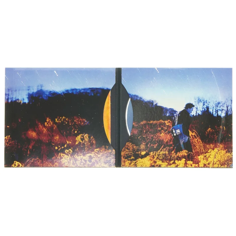 Bruce Springsteen CD: Working on a Dream fra Sony Music