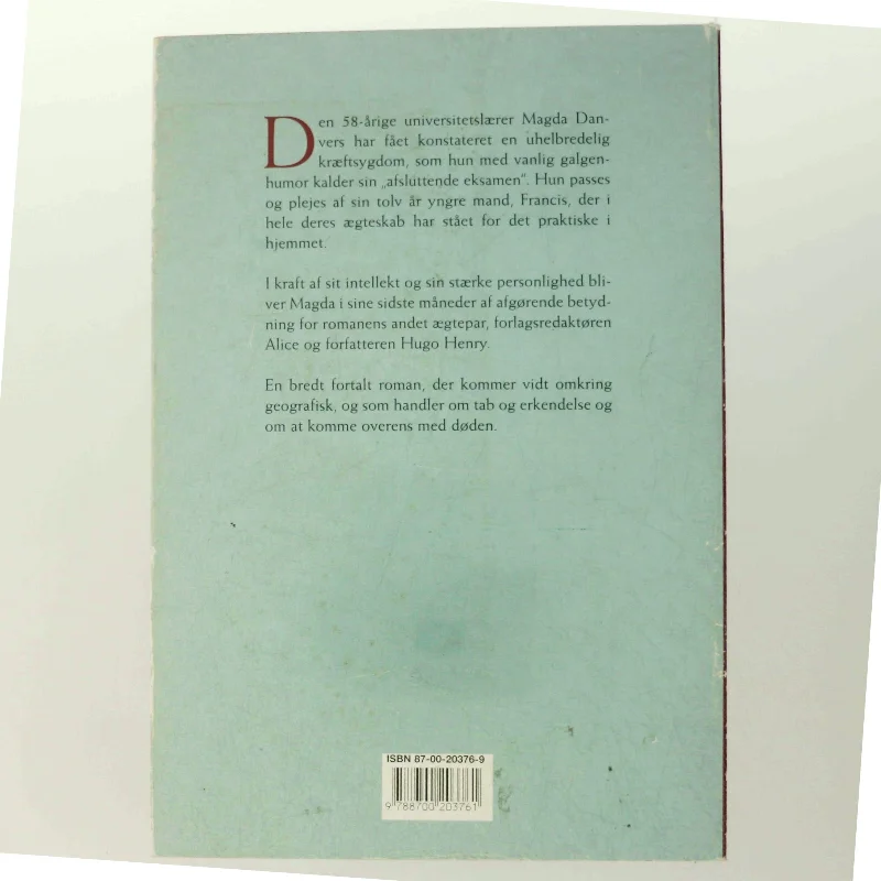 Den gode ægtemand af Gail Godwin (Bog)