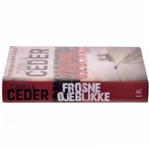 Frosne øjeblikke af Camilla Ceder (Bog)